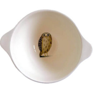 Soepkom/yoghurtbakje: Uil