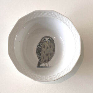 Schaaltje Uil